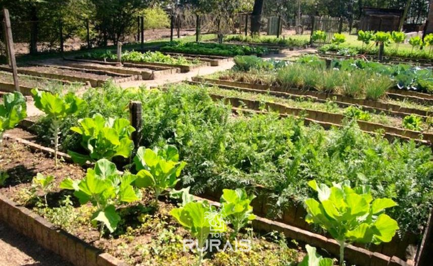 Sítio com 03 alqueires à venda em Itu -SP.