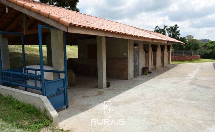 Haras formado à venda em Porto Feliz-SP.