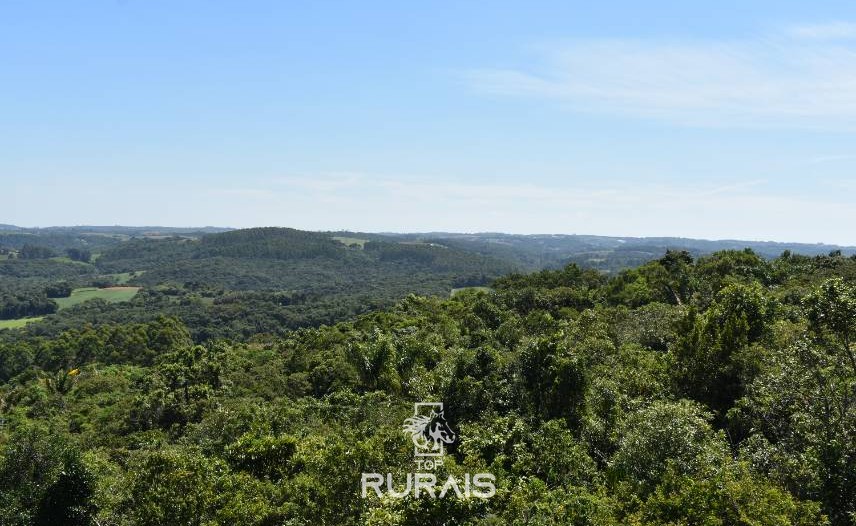 Sitio á venda em Piedade-SP.