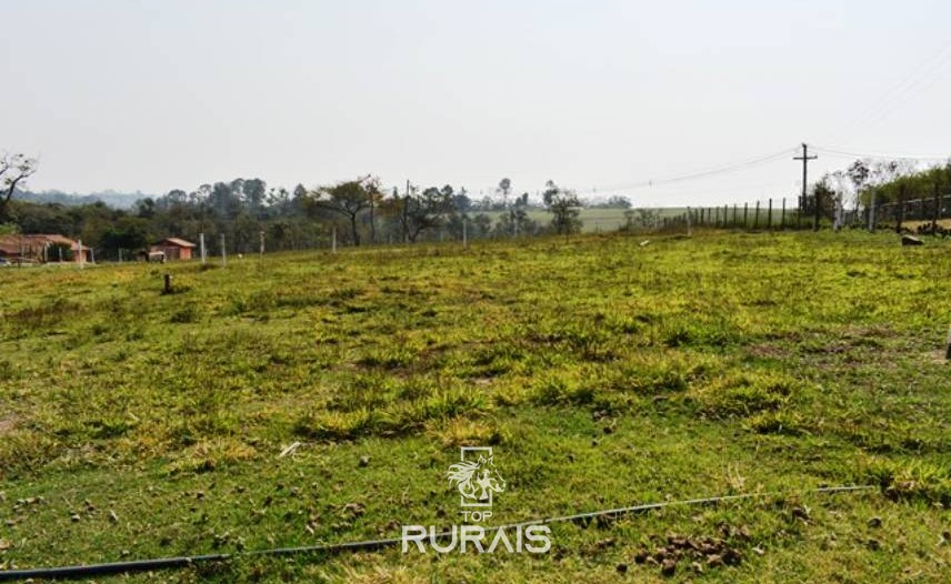 Haras/sítio à venda em Porto Feliz-SP.