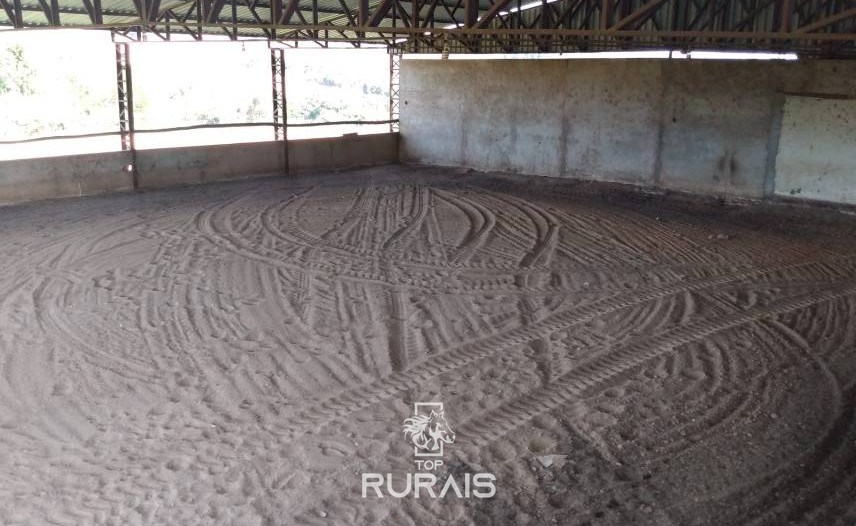 Haras formado à venda em Porto Feliz-SP.