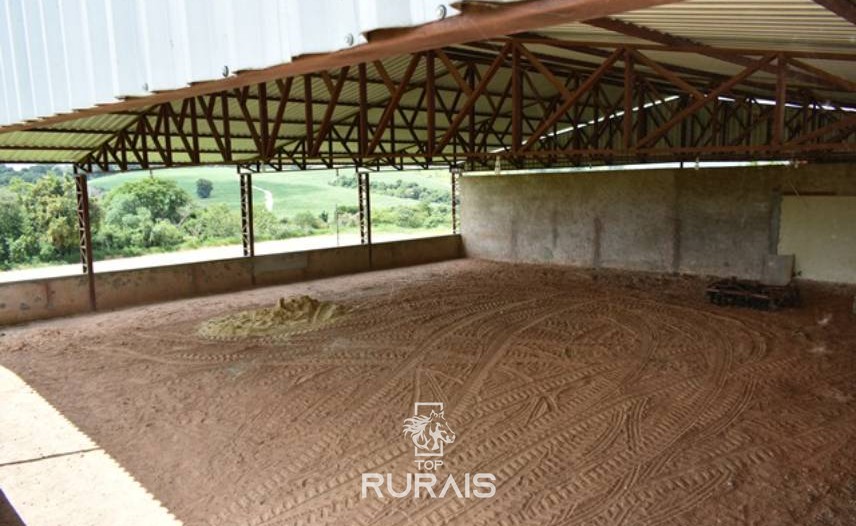 Haras formado à venda em Porto Feliz-SP.