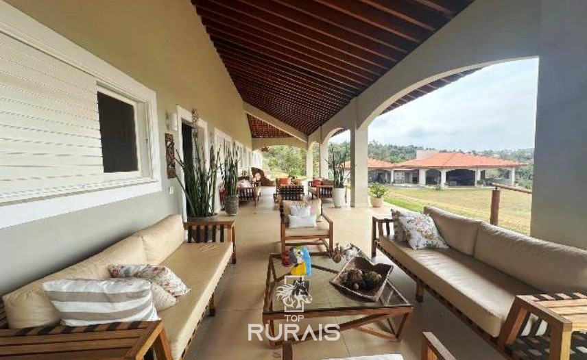 Haras formado na região de Tatui-SP.