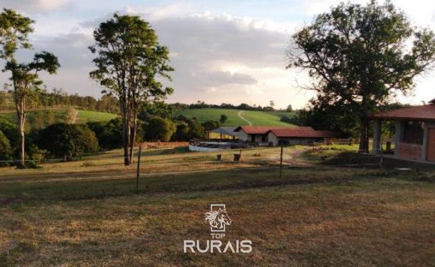 Haras formado à venda em Porto Feliz-SP.