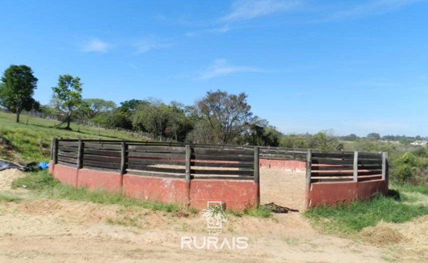 Haras formado à venda em Porto Feliz-SP.