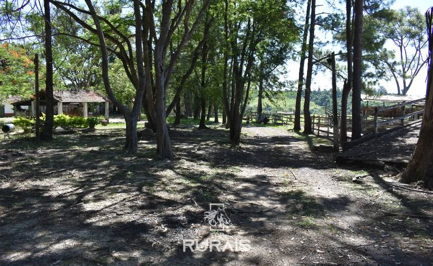 Lindo sítio à venda em Porto Feliz-SP.