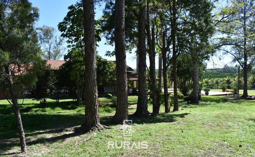 Lindo sítio à venda em Porto Feliz-SP.