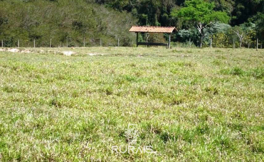 Sítio com 03 alqueires à venda em Itu -SP.