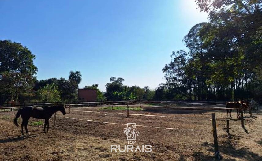 Haras à venda em Porto Feliz-Pista para 3 tambores. .