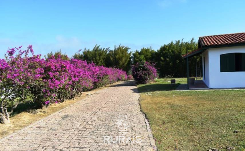 Ótimo sitio a venda em ITU-SP.  Colonial