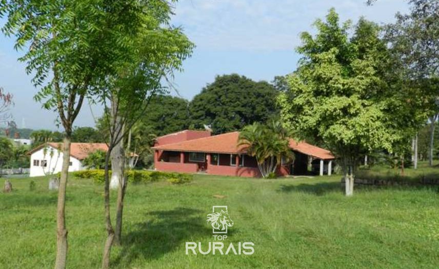 Haras formado à venda em Porto Feliz-SP.