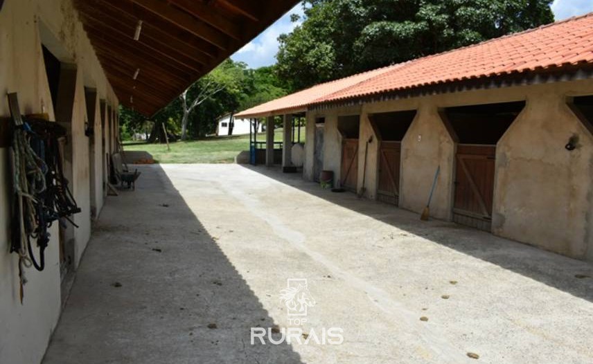 Haras formado à venda em Porto Feliz-SP.