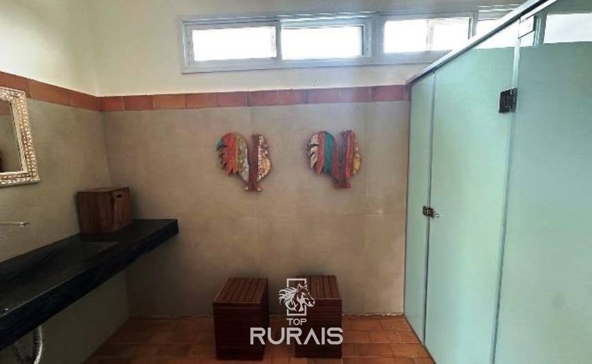 Haras formado na região de Tatui-SP.