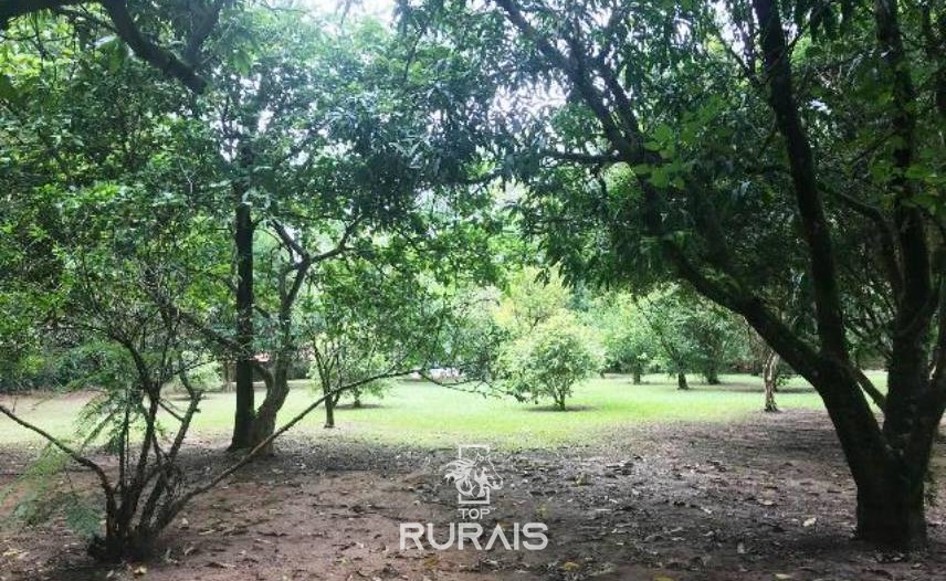 Haras formado à venda em Boituva-Sp. 8 alqueires.